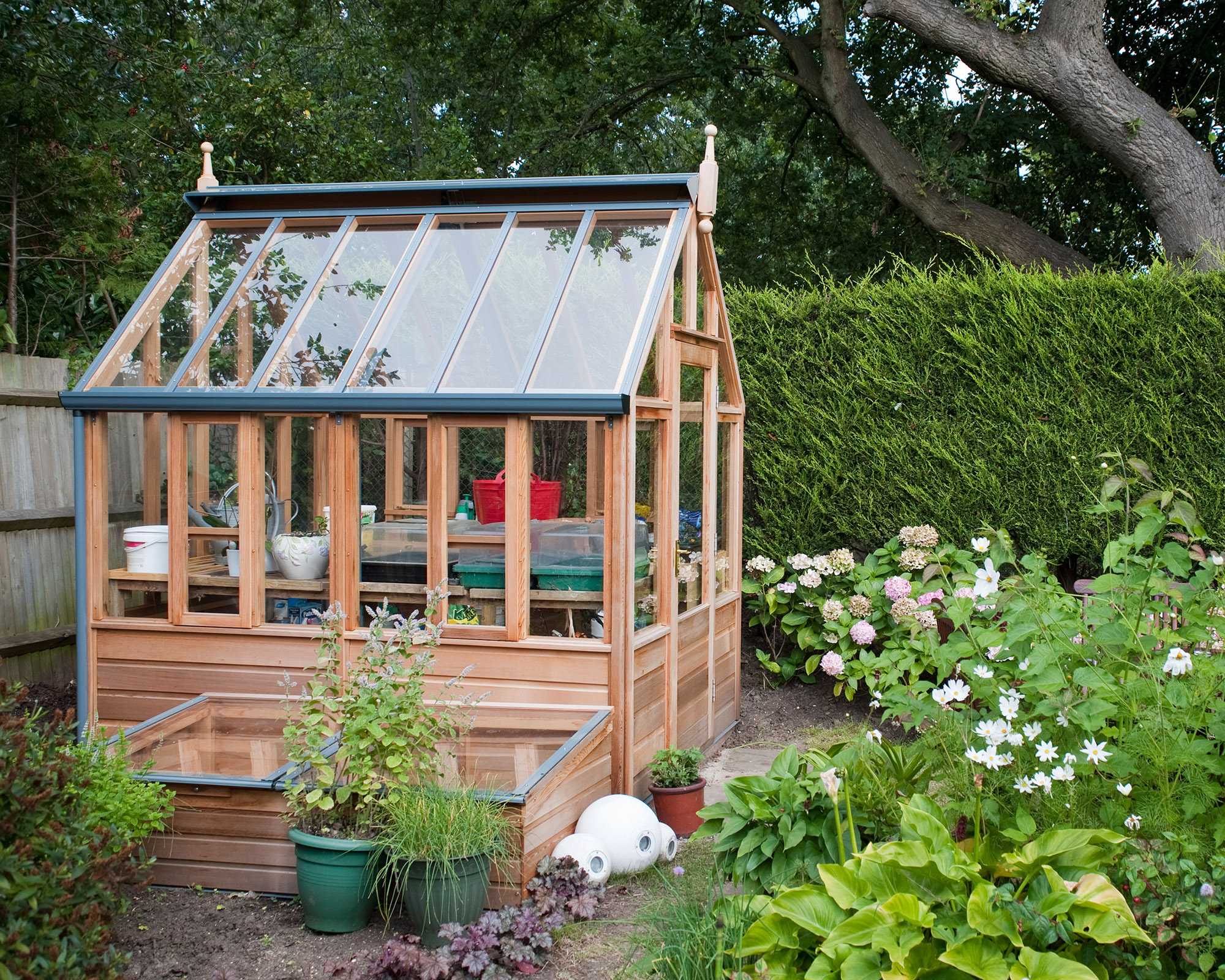 Brand new cute small greenhouse in a private Garden with lots of bedding plants in front and some trees