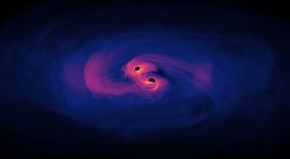 A visualization of two spiralling black holes.