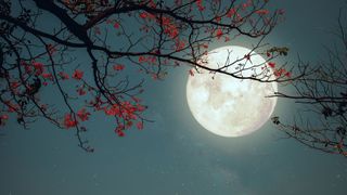 Does a full moon *really* affect your sleep? — Calm Blog