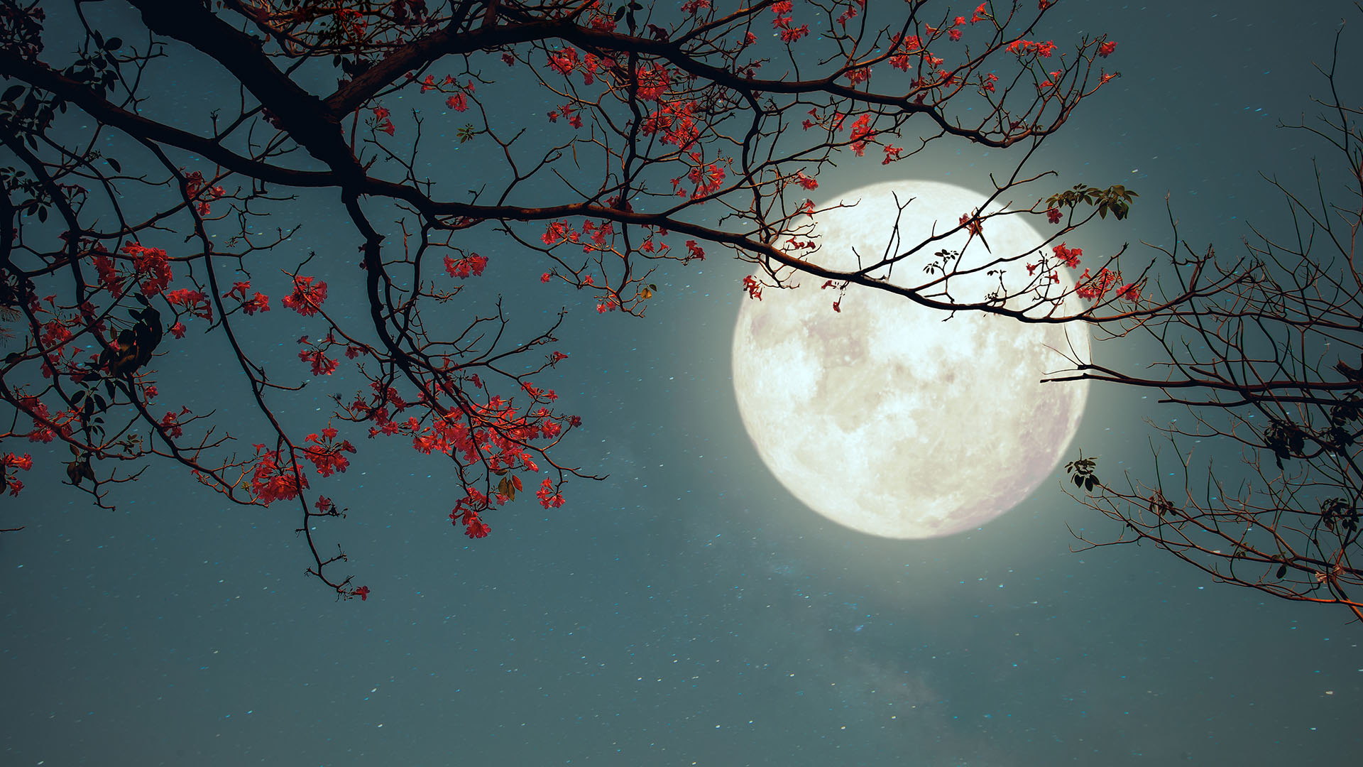 Does A Full Moon Cause Bad Sleep TechRadar