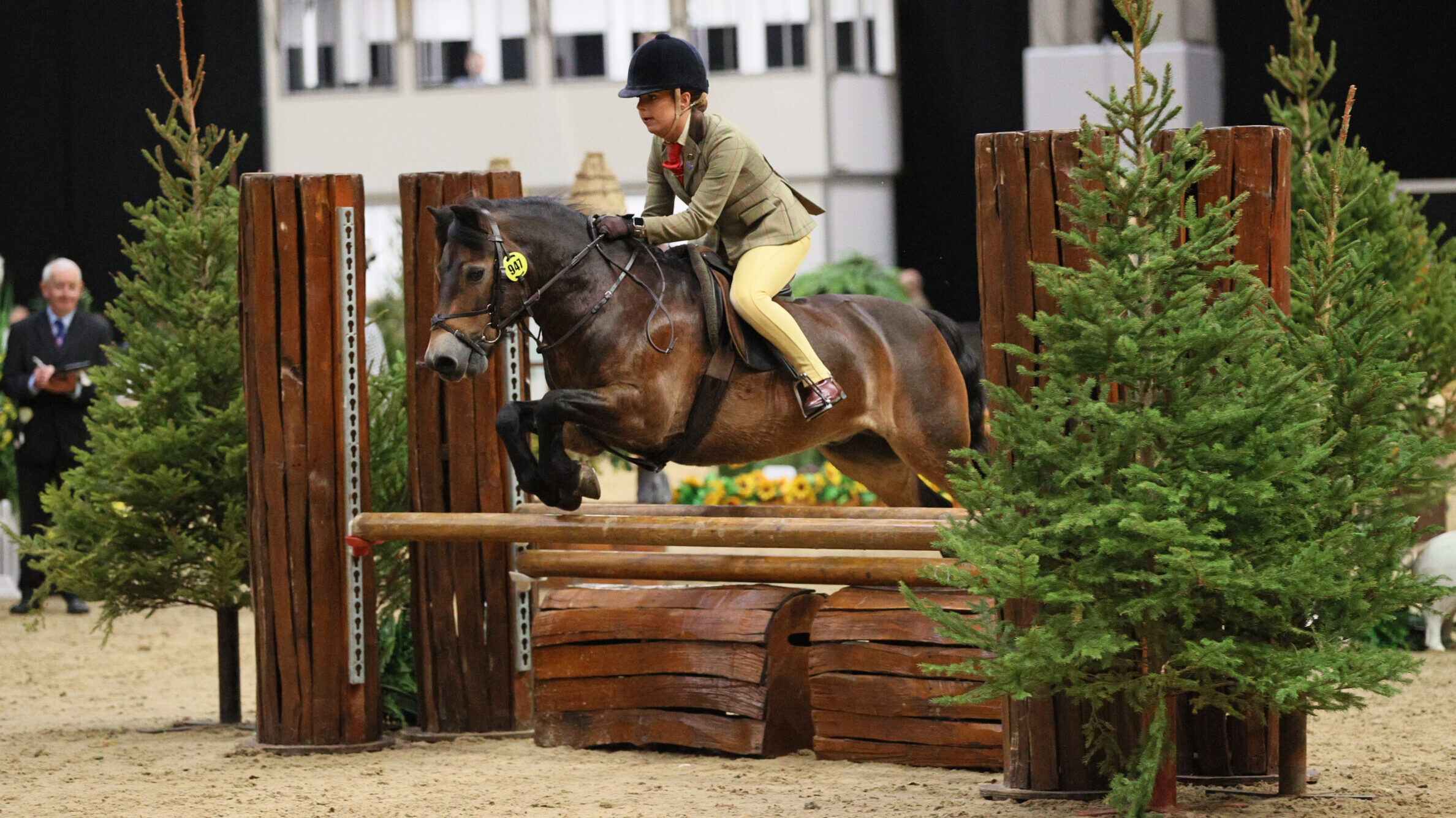 Moonpenny Delphinus and Molly Barker jump clear to win the 122cm open M&amp;amp;M working hunter pony final at HOYS 2025