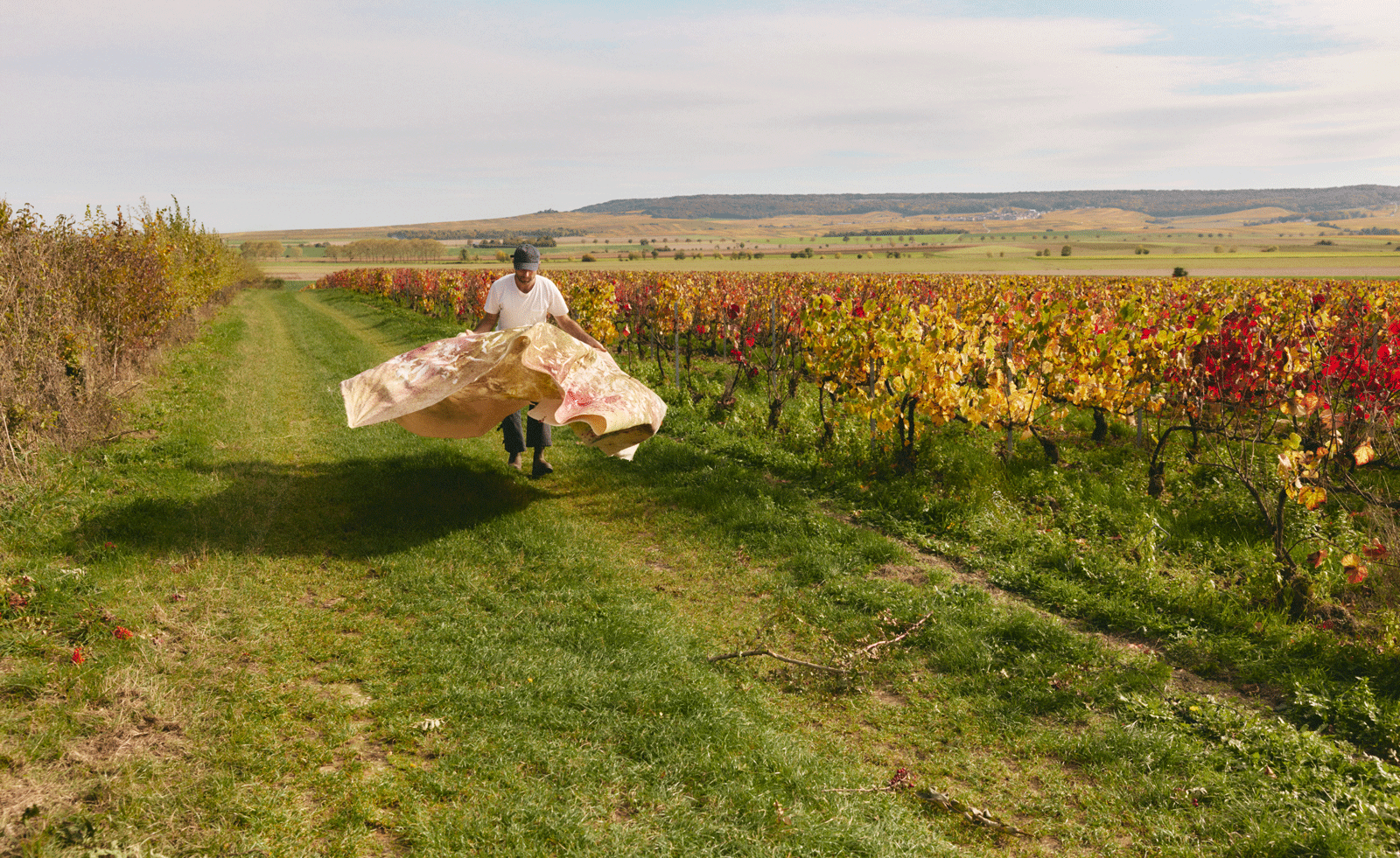 man painting in a vineyard