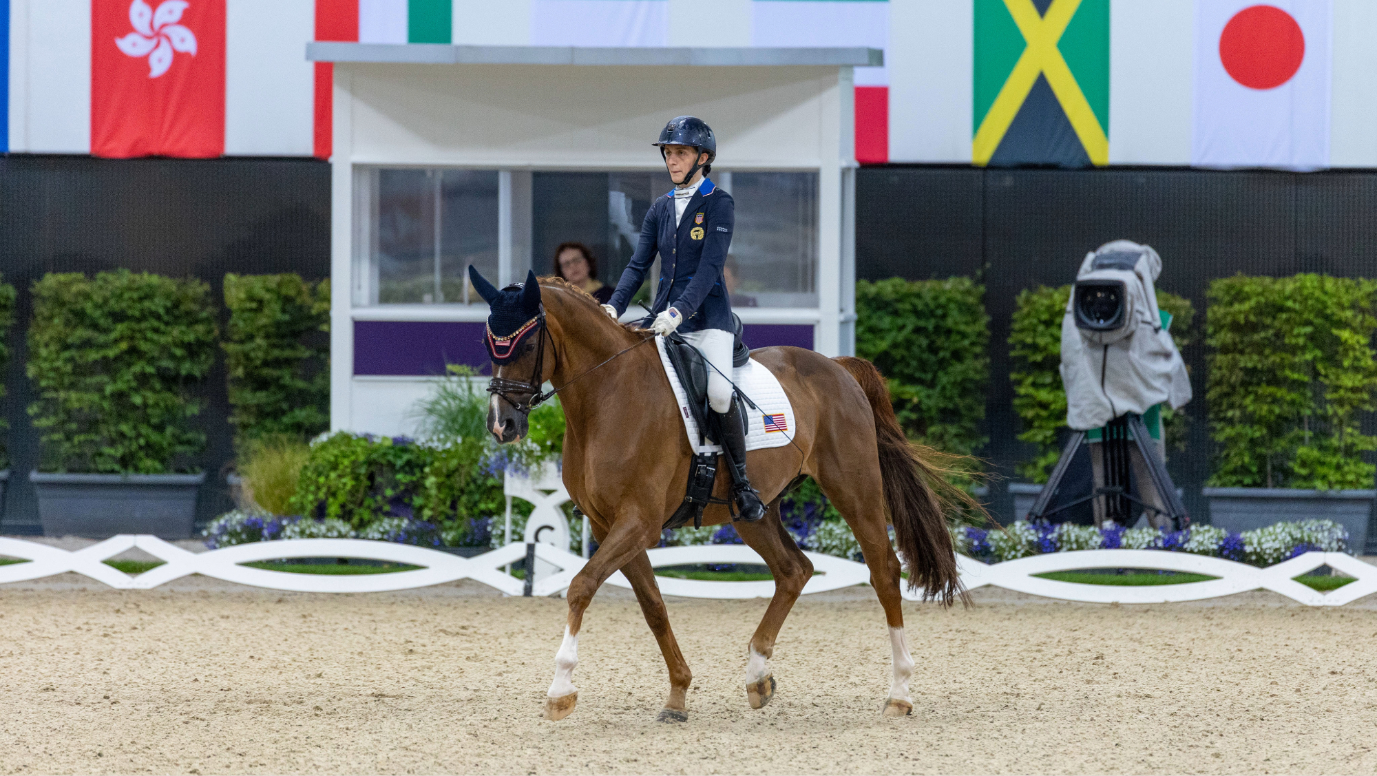 Fiona Howard riding Diamond Dunes during her test at the 2026 World Para Dressage Championships in Aachen