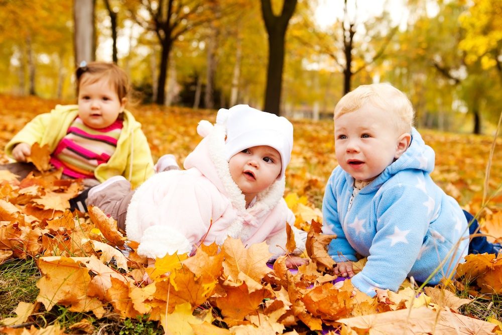 Babies in leaves