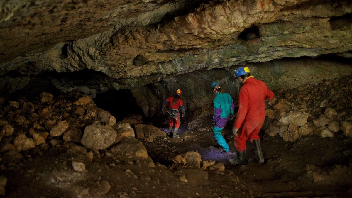 A group of excavators descends into a cave.