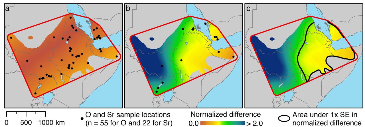 The isotopic analysis on the baboons suggests that Punt was in the Horn of Africa.