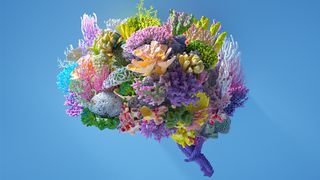 An image of a brain representing AI art