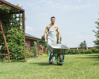 A young gardener in overalls pushes a galvanised wheelbarrow in a garden with a large lawn and hedges