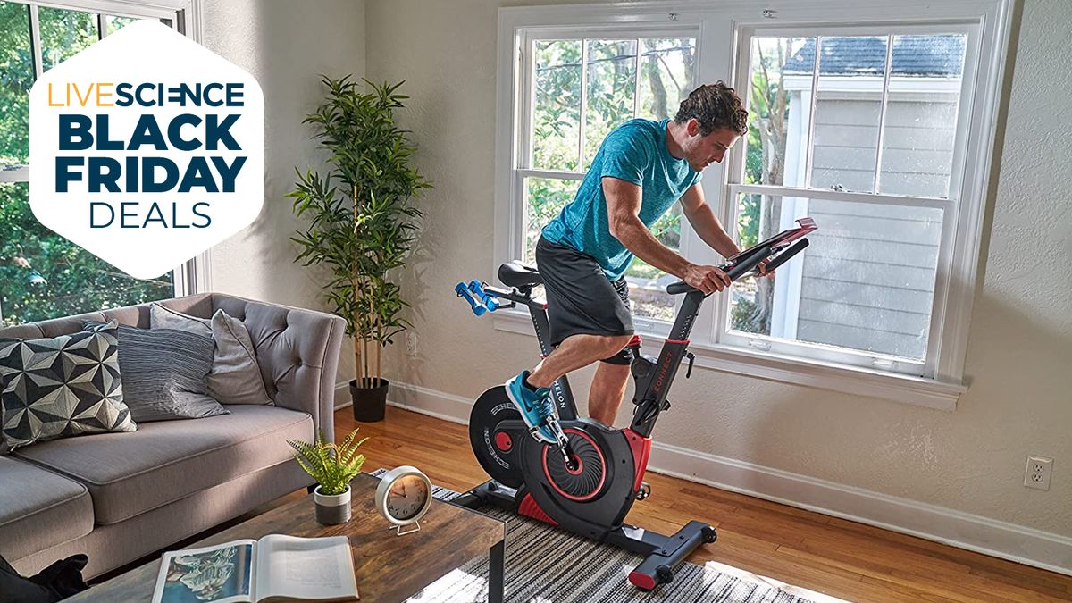 Exercise bike black friday sale hot sale