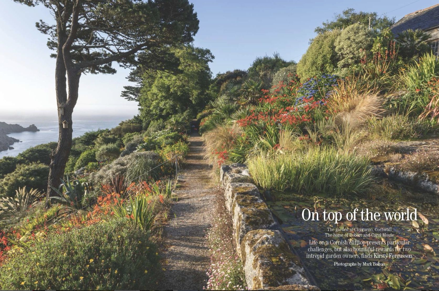 Magazine spread from Country Life 8 July 2026