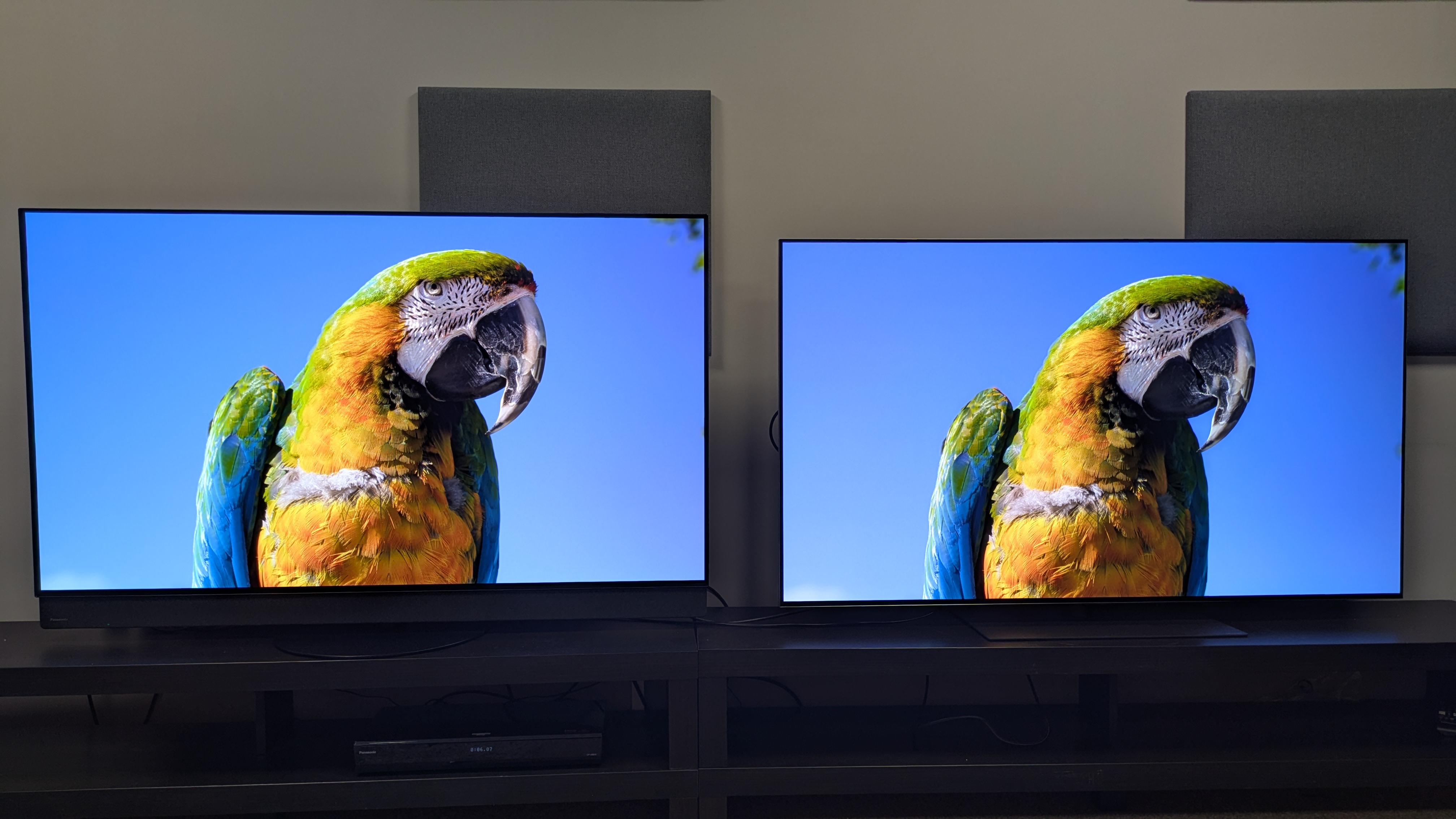 Panasonic Z95B (left) and LG G5 (right) displaying yellow and green parrot on screen 