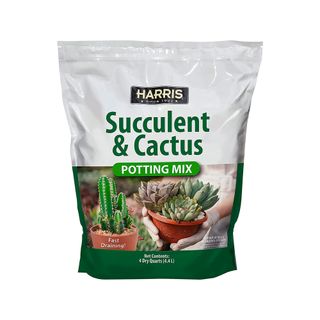 Harris Premium Succulent and Cactus Potting Soil Mix