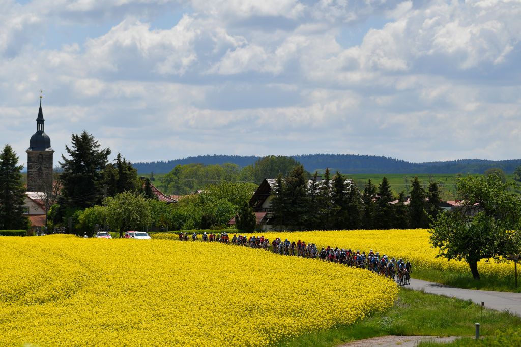 GOTHA GERMANY MAY 30 The peloton passing through flowery landscape during the 34th Internationale LOTTO Thringen Ladies Tour 2021 Stage 6 a 978km stage from Gotha to Gotha ltlt2021 lottothueringenladiestour womencycling on May 30 2021 in Gotha Germany Photo by Luc ClaessenGetty Images