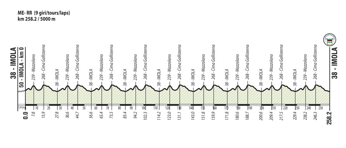 The elite men's road race at the 2020 World Championships