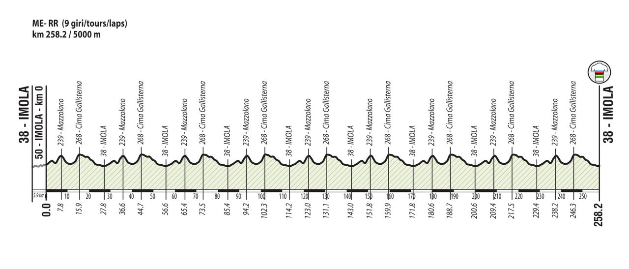 The elite men's road race at the 2020 World Championships