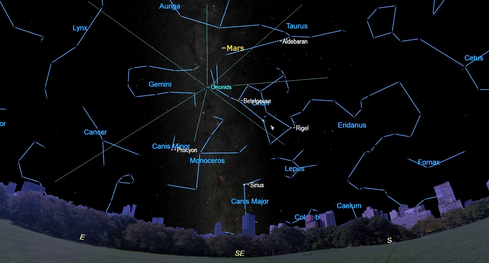 A drawing of the predawn sky on October 21, showing the peak of the Orionid meteor shower.