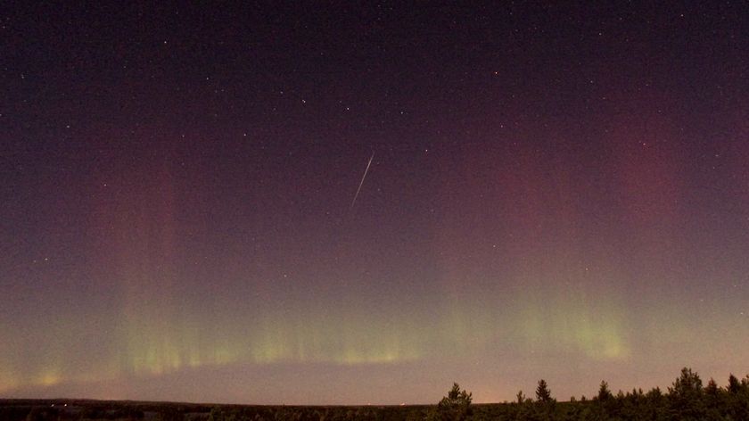 A meteor is pictured shooting through a star-studded sky swirling with auroras above a tree-lined horizon.