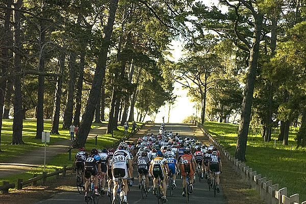 The peloton in the men's criterium - stage five of the Geelong Tour - make their way along the back straight.