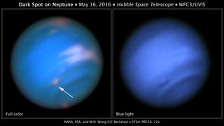 Neptune's new dark vortex