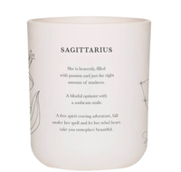 4. Damselfly Sagittarius candle