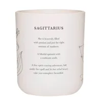 4. Damselfly Sagittarius candle