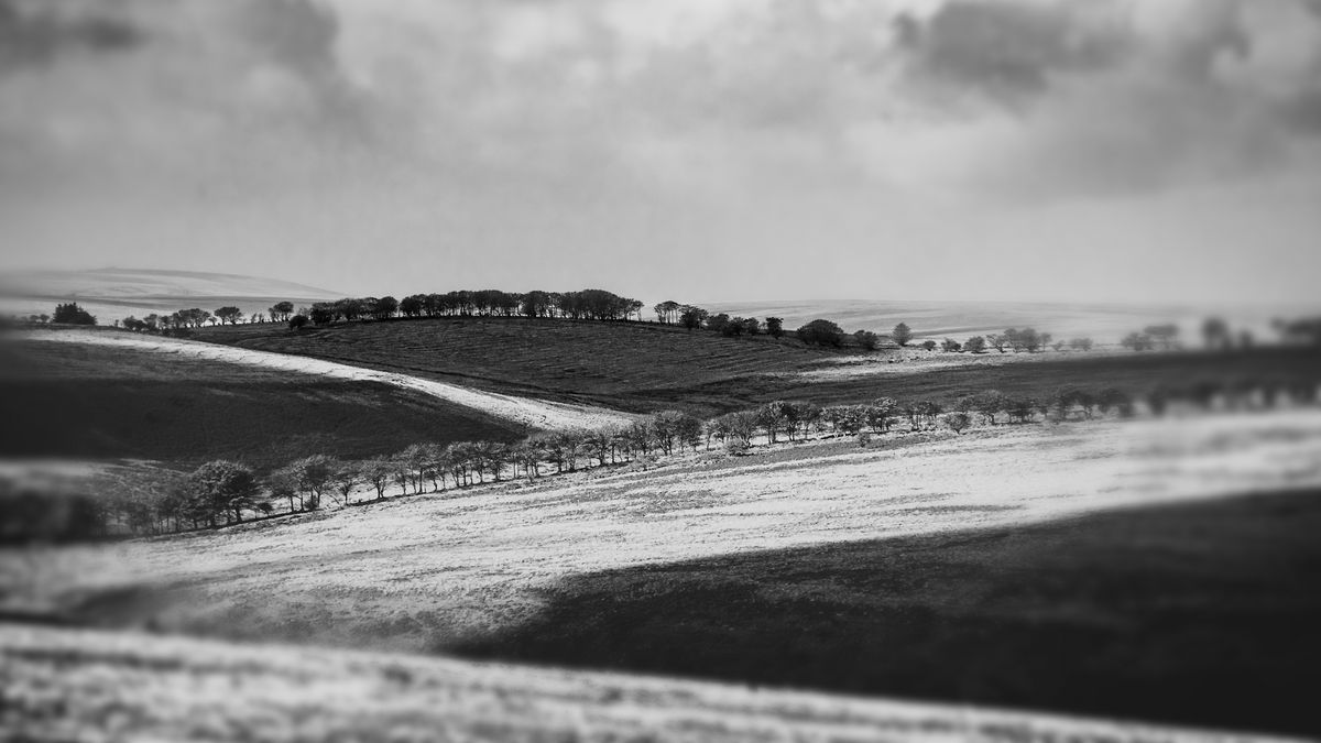 black and white landscape from DCM260