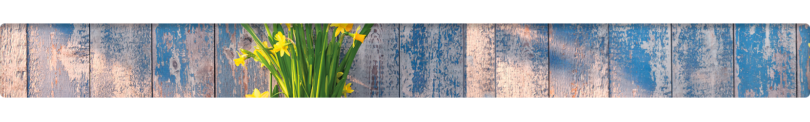 Refresh Footer - Garden