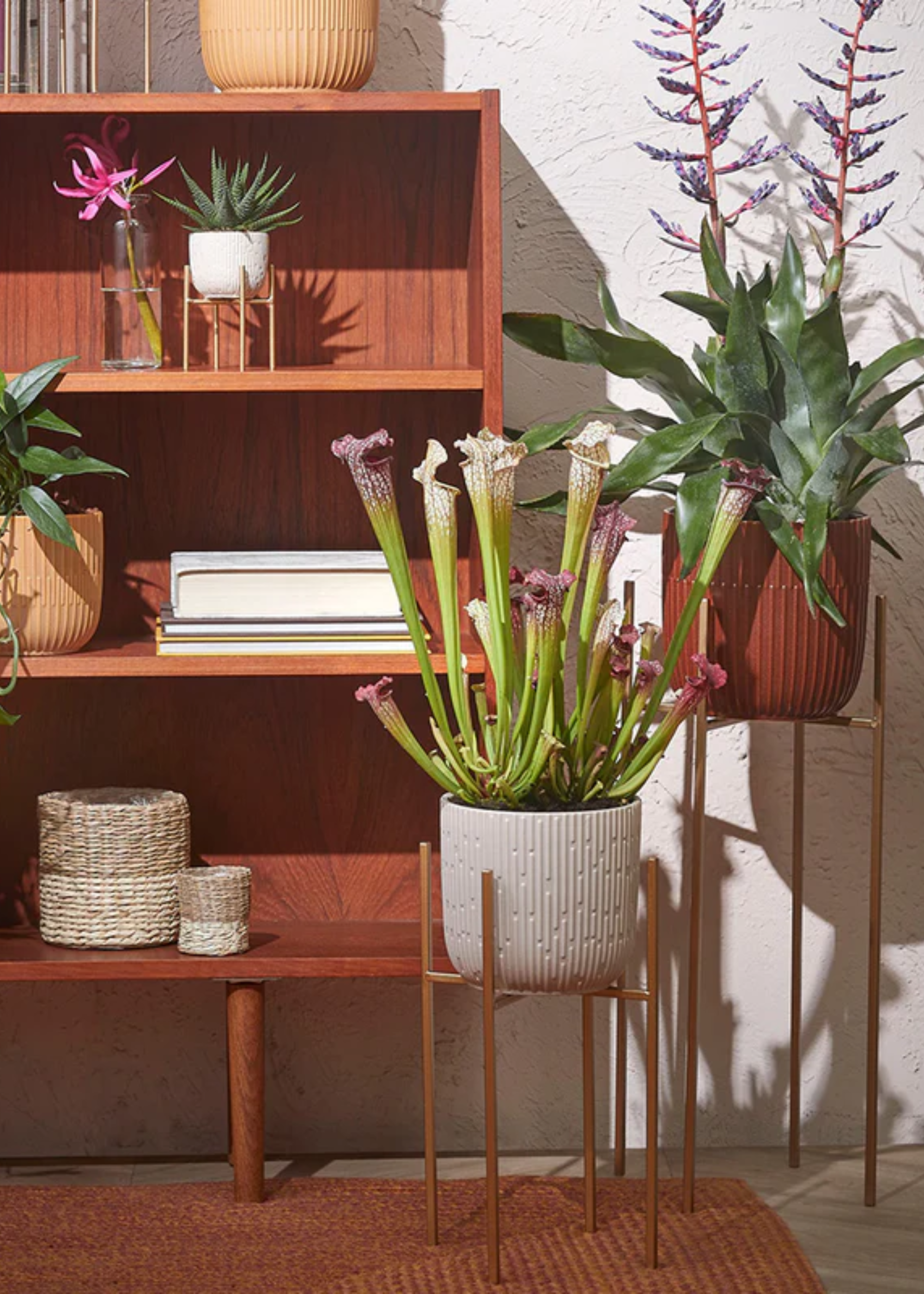A group of potted flowers on gold stands beside a wooden shelves