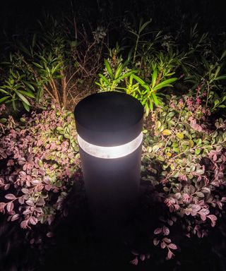 Garden light installed amid plants
