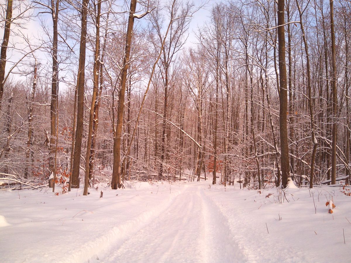 A sample image taken with the Camp Snap CS-Pro