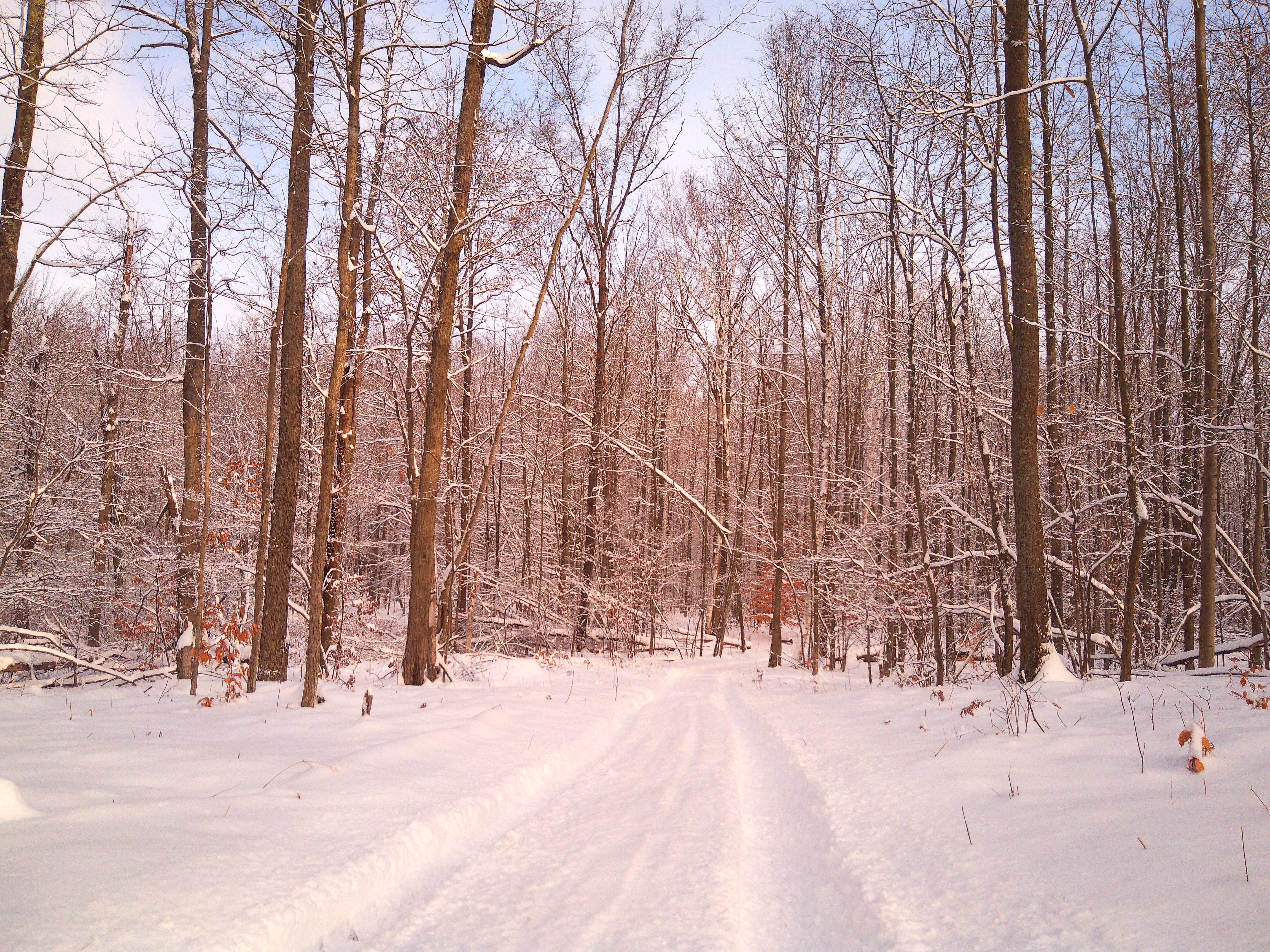 A sample image taken with the Camp Snap CS-Pro