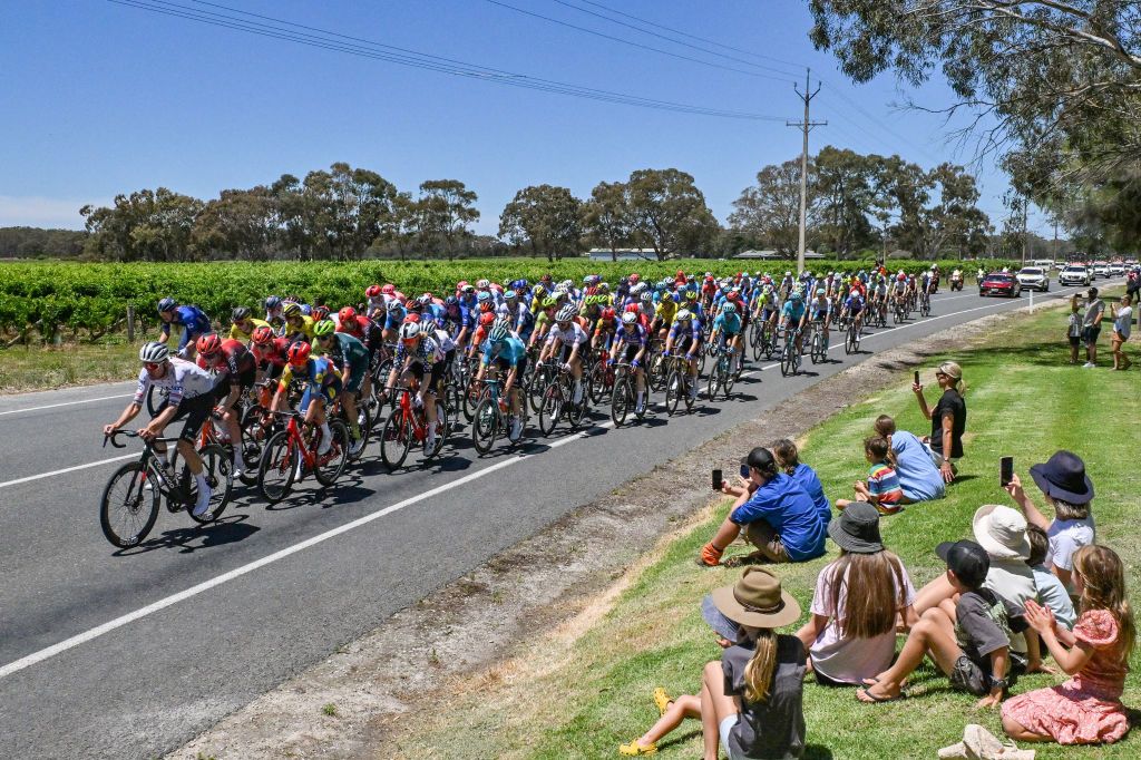 The peloton rides past Langhorne Creek vineyard