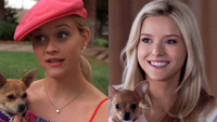 Reese Witherspoon in a screenshot from Legally Blonde in a side by side with Lexi Minetree in press material from Elle