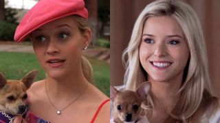 Reese Witherspoon in a screenshot from Legally Blonde in a side by side with Lexi Minetree in press material from Elle