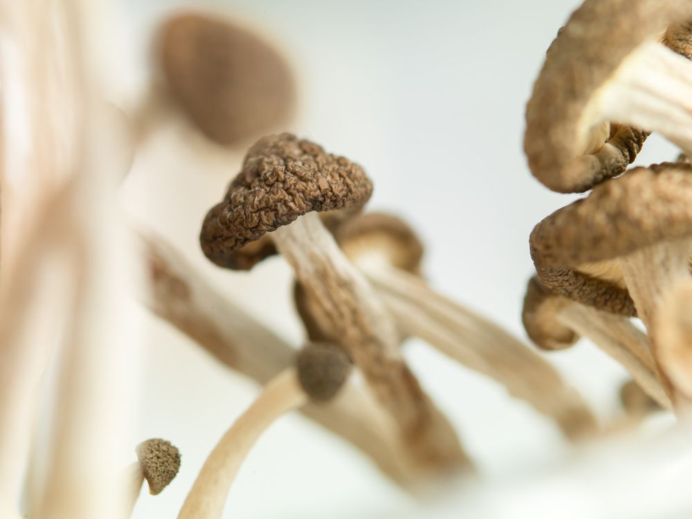 6 Party Drugs That May Have Health Benefits