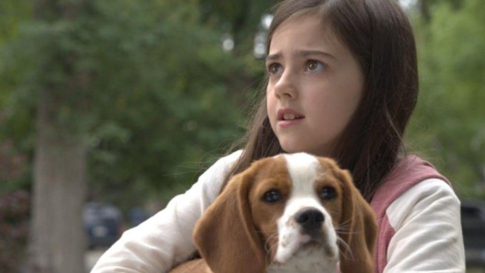 a dogs purpose viral video