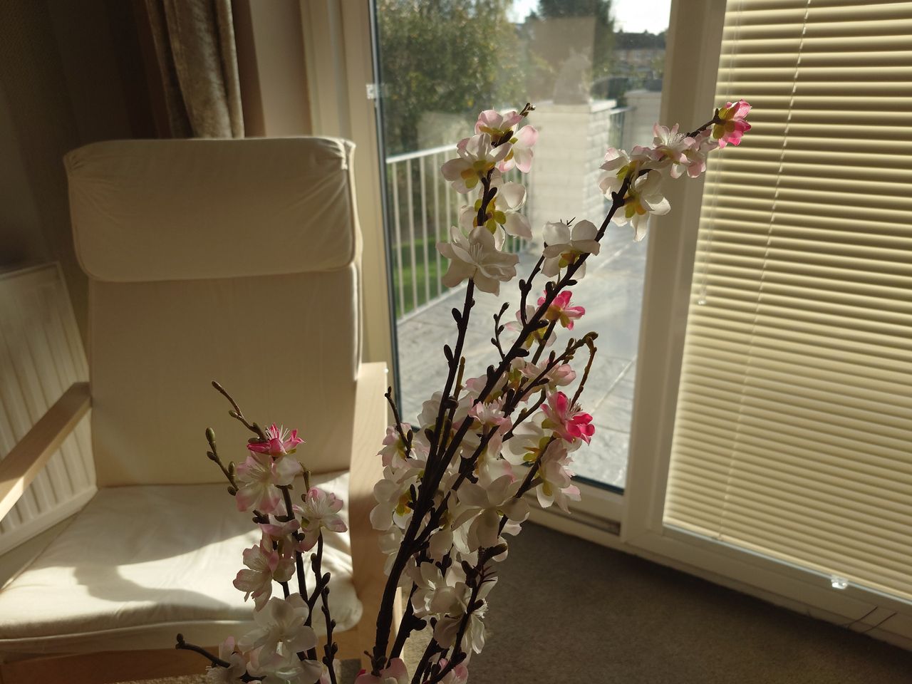 Photo taken with a Sony Xperia 5 IV smartphone camera