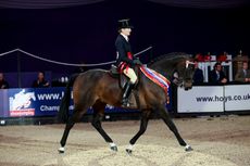Minella Rebellion wins the R2R final at HOYS