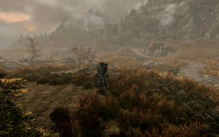 A Nord stands on a plain surrounded by grass, thanks to the Perfect Terrain LOD mod