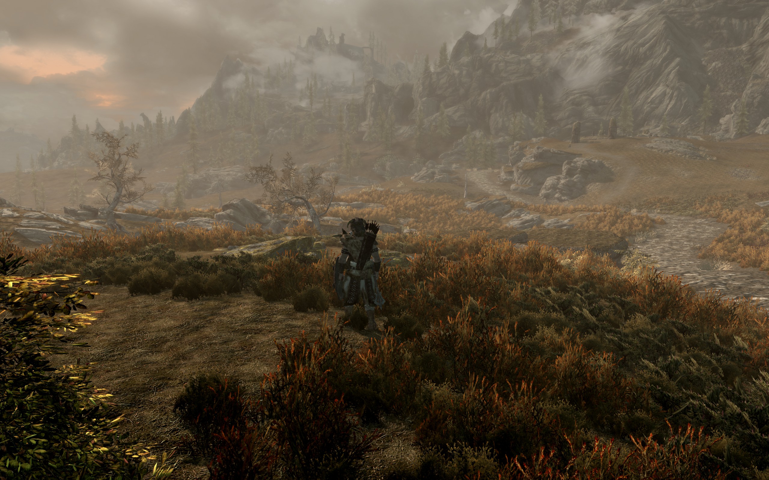 A Nord stands on a plain surrounded by grass, thanks to the Perfect Terrain LOD mod