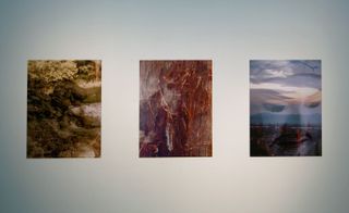 Three portrait photographs showing nature and landscapes.