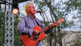Robyn Hitchcock