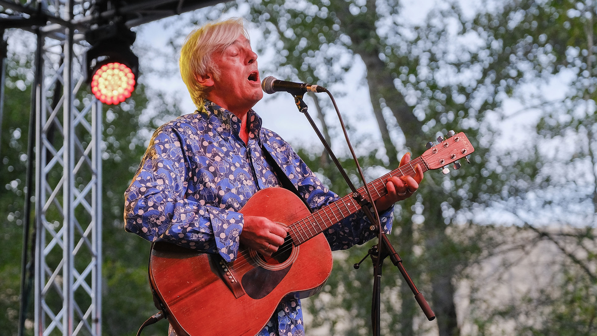 Robyn Hitchcock