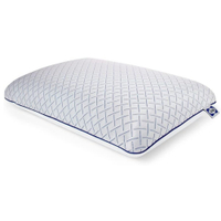 Sealy Essentials Cool Touch Memory Foam Pillows | Was $39.99, now $35.99 at Amazon