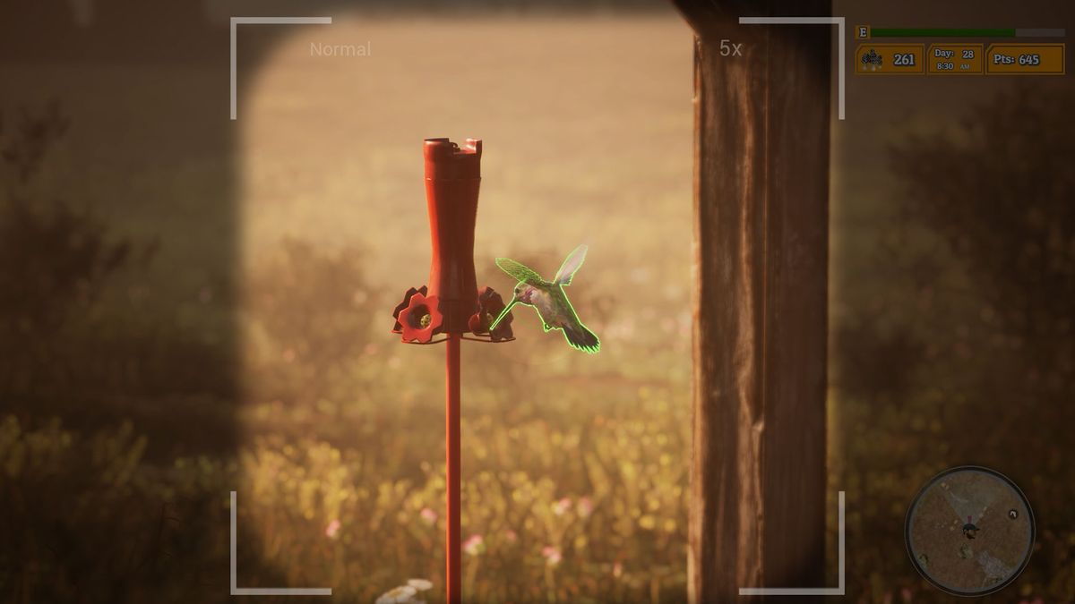 Morels: The Hunt 2 screenshot
