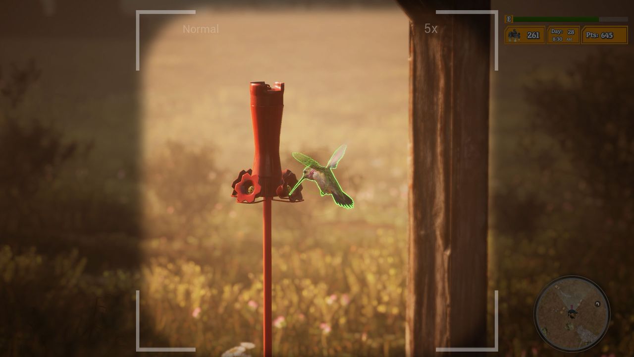 Morels: The Hunt 2 screenshot