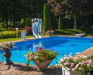 pool with slide and potted plants