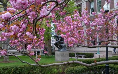 Lists of alleged 'sexual assault violators' appearing across Columbia University