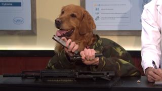 Dog Head Man on Saturday Night Live