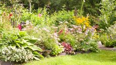 A colorful flower bed full of perennial plants and shrubs